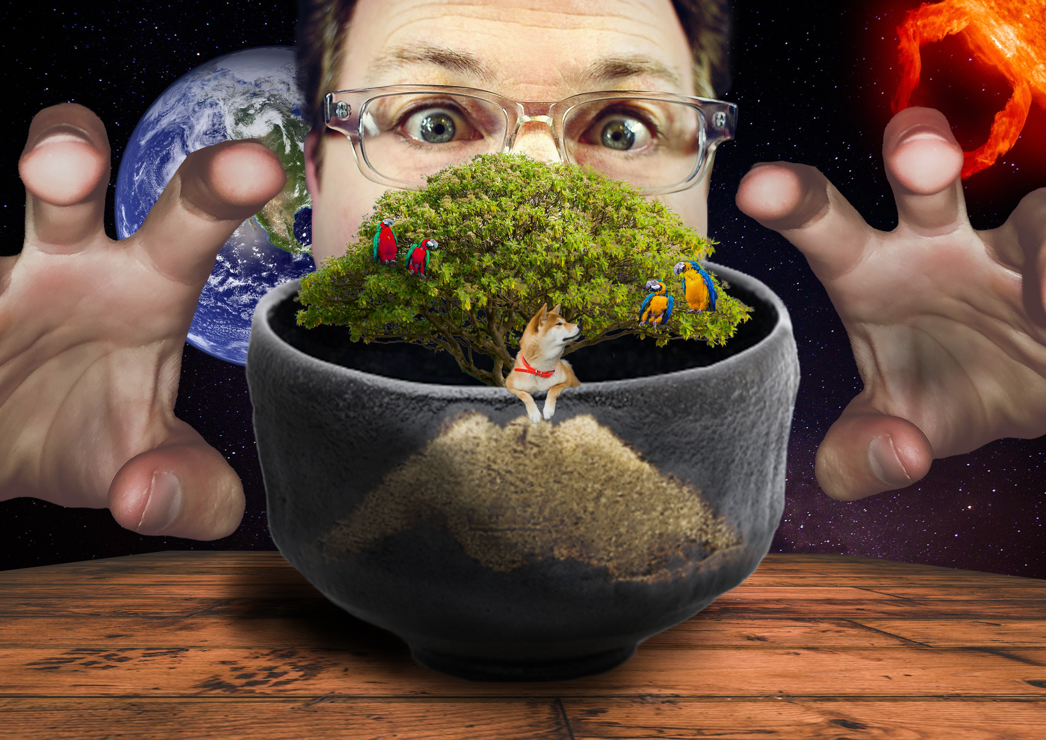 宇宙の神がいる空間にある不思議な茶碗、茶碗の中には大きい木が生えていてその中には動物たちの楽園が、その茶碗に驚きいたずらしようと神