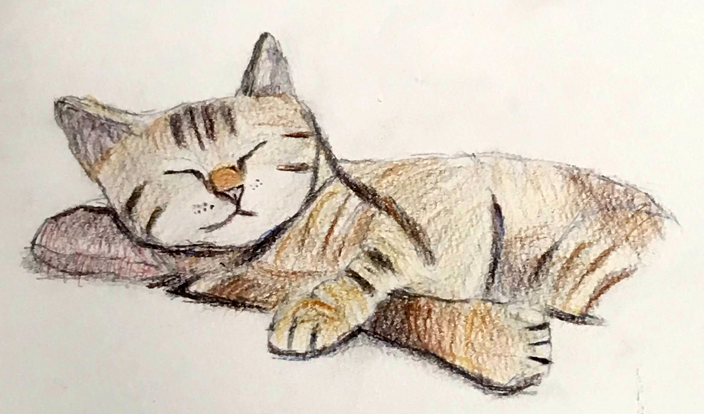 猫が気持ちよさそうにお昼寝している絵、みやもんの描いた猫の中で一番うまくできている